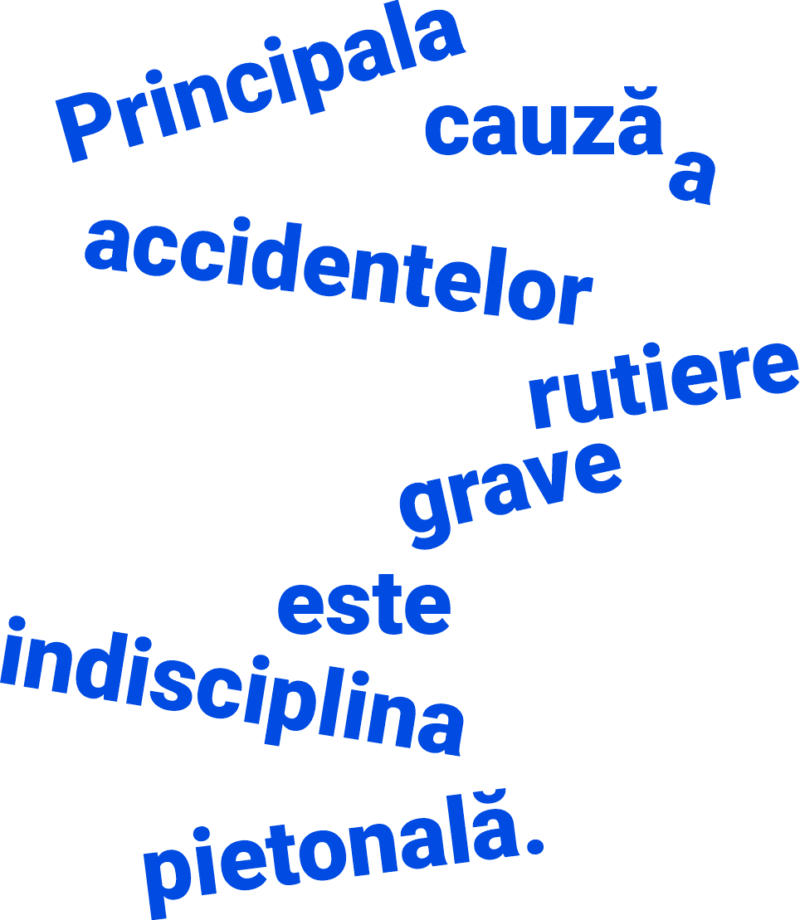 Principala cauza a accidentelor rutiere grave este indisciplina pietonala